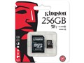 SDC10G2/256GB [256GB]