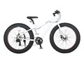 CANOVER CAFT-052-DD GOLIATH [�z���C�g]