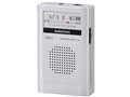 AudioComm RAD-P111N