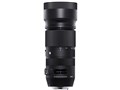 100-400mm F5-6.3 DG OS HSM [�L���m���p]