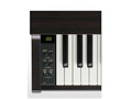 DIGITAL PIANO CN27R [�v���~�A�����[�Y�E�b�h��]