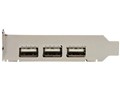 PEXUSB4DP [USB2.0]