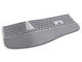 Surface Ergonomic Keyboard 3RA-00017 [�V���o�[]