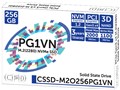 CSSD-M2O256PG1VN