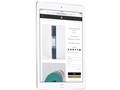 iPad Wi-Fi+Cellular 32GB 2017�N�t���f�� Softbank [�V���o�[]