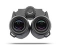 TERRA ED Pocket 10x25 [�u���b�N/�O���[]