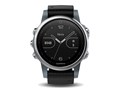fenix 5S Gray 168535 [���{��]