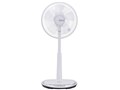 YT-B3017V-W [�z���C�g]