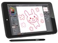 raytrektab DG-D08IWP K/06870-10a