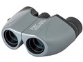 PIXY M10x21MC [�V���o�[�O���[��]