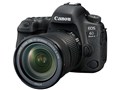 EOS 6D Mark II EF24-105 IS STM YLbg