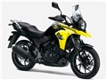 VXg[250