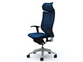 Baron CP81DR FGR3 [�~�f�B�A���u���[]