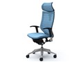 Baron CP81DR FGR4 [�A�N�A�u���[]