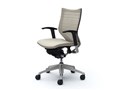 Baron CP83DR FGR2 [�z���C�g]