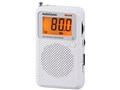 AudioComm RAD-P2226S