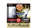 �M�K �f���A���N�X GXB935 [HID �z���C�g 3500K D4S/D4R]