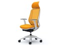 Sylphy C68AXW FMR8 [�I�����W]