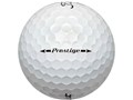 Prestige �{�[�� 2017�N���f�� [�S�[���h�p�[��]