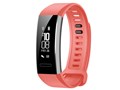 HUAWEI Band 2 Pro [���b�h]