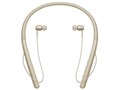 h.ear in 2 Wireless WI-H700 (N) [�y�[���S�[���h]