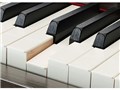 Clavinova CSP-170PE [�����ʉ��o��]