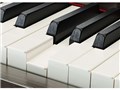 Clavinova CSP-150B [�u���b�N�E�b�h��]