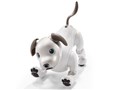 aibo ERS-1000 [Ivory White]