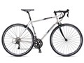 QUEST COMP 2018�N���f�� [Sahara Silver]