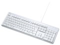 SKB-SL29W [�z���C�g]