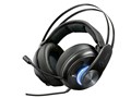 Trust Gaming GXT 383 Dion 7.1 Bass Vibration Headset 22055