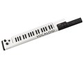VOCALOID Keyboard VKB-100