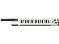 VOCALOID Keyboard VKB-100