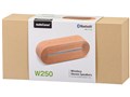 AudioComm ASP-W250N
