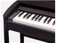 Kiyola KF-10-KSB [�V�A�[�u���b�N]