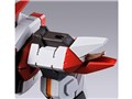 METAL BUILD ���[�o�e�C�� Ver.IV