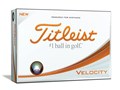 VELOCITY 2018�N���f�� [�z���C�g]