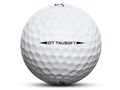 DT TRUSOFT 2018�N���f�� [�z���C�g]
