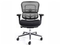 Ergohuman Basic EH-LBM KM10 [�O���[]