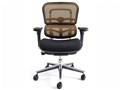 Ergohuman Basic EH-LBM KM13 [�I�����W]