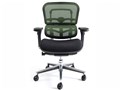Ergohuman Basic EH-LBM KM14 [�O���[��]