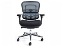 Ergohuman Basic EH-LBM KM15 [�u���[]