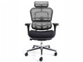 Ergohuman Basic EH-HBM KM10 [�O���[]