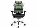 Ergohuman Basic EH-HBM KM14 [�O���[��]