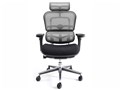 Ergohuman Basic EH-HBM KM16 [�z���C�g]
