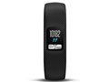 vivofit 4 ���M�����[ [Black]