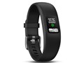 vivofit 4 L�T�C�Y