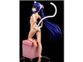 FAIRY TAIL 1/6 �E�F���f�B�E�}�[�x�� ���LGravure Style