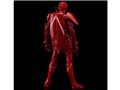 �l�`�̍� 1/12 ���K�l�` �G�X���[