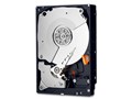 WD4005FZBX [4TB SATA600 7200]